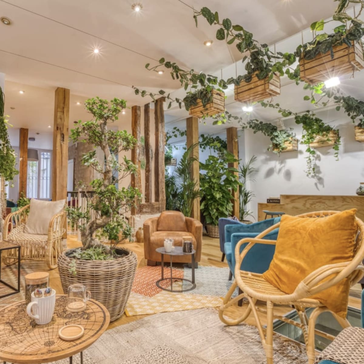 The scene features a cozy lounge area filled with various plants, comfortable seating, and decorative elements including rugs and tables.