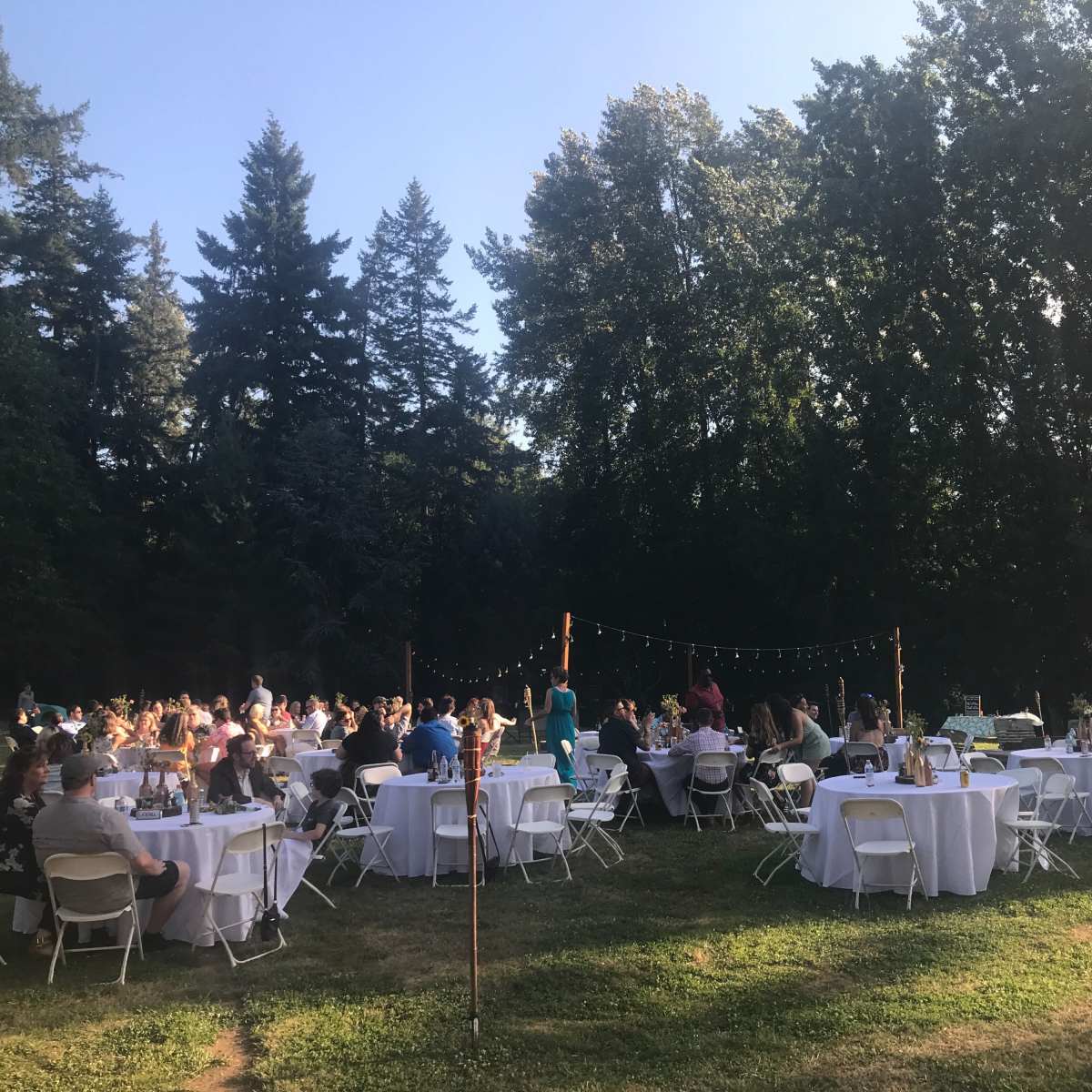 A large outdoor gathering is taking place with numerous round tables set up under string lights amidst trees.