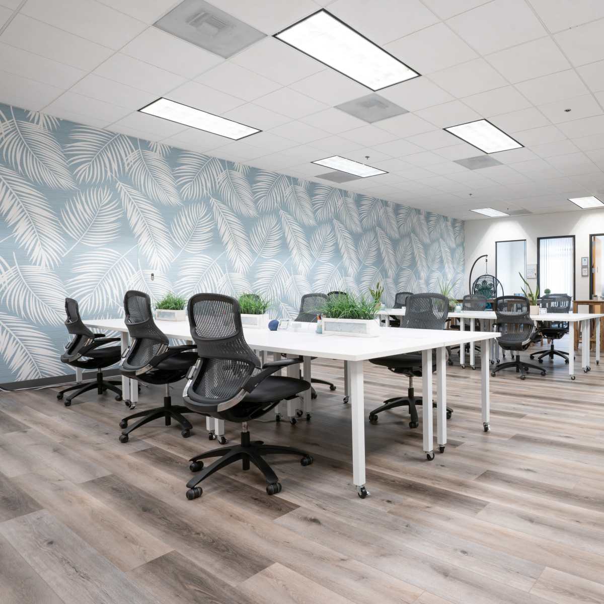 A modern office space with several workstations, stylish chairs, and a blue leafy-patterned accent wall.