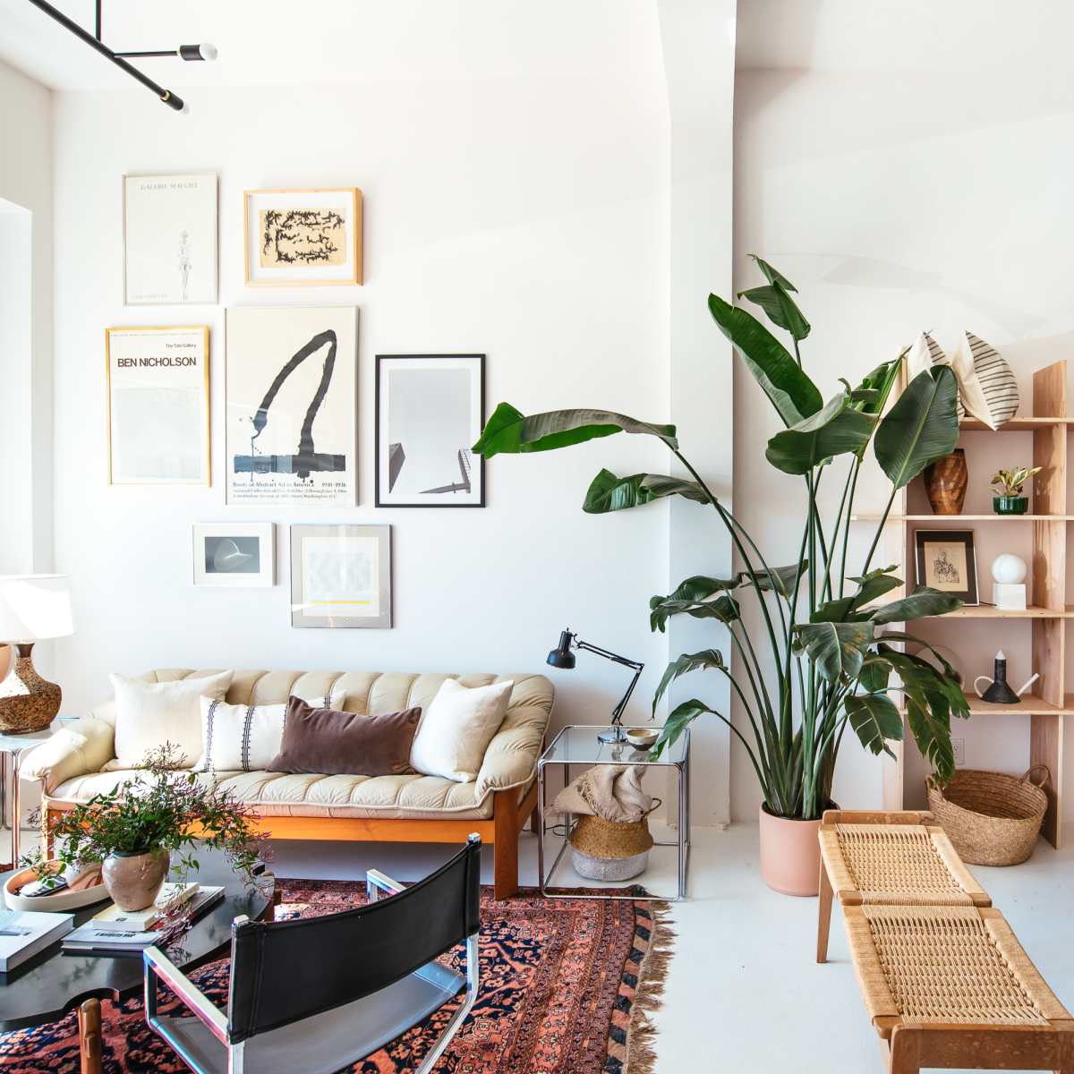 A stylish living room with a sofa, wall art, and a large indoor plant beside a wooden shelving unit filled with decorative items.