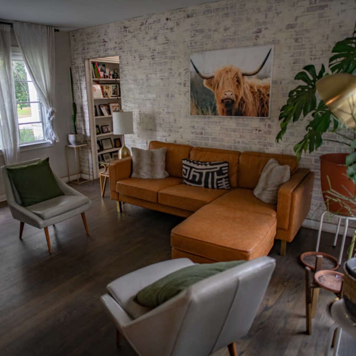 A living room featuring an orange sectional sofa, white armchairs, a large wall-mounted photo of a cow, and a bookshelf filled with books and decor.