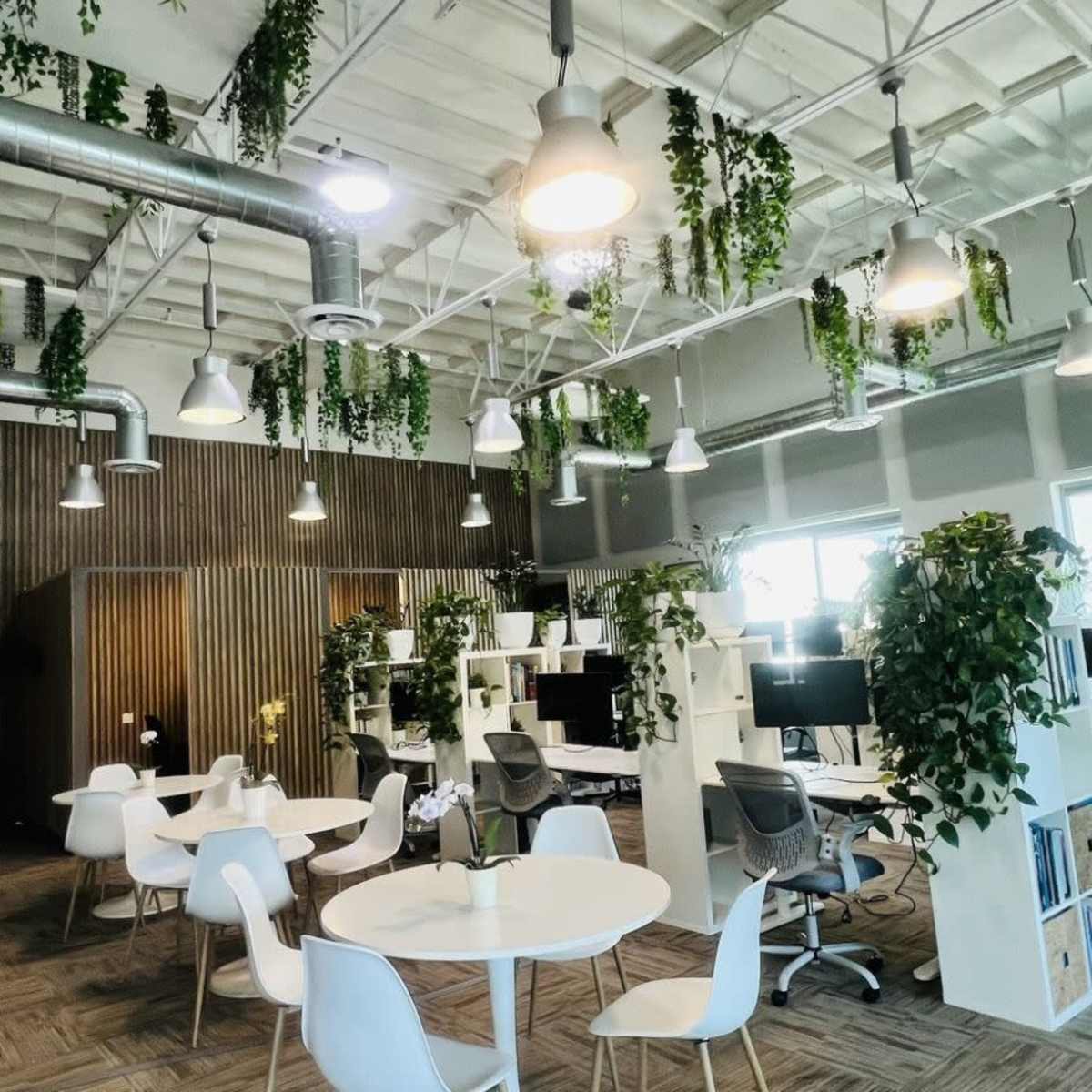 A modern office space with white furniture, greenery hanging from the ceiling, and workstations arranged around a central seating area.