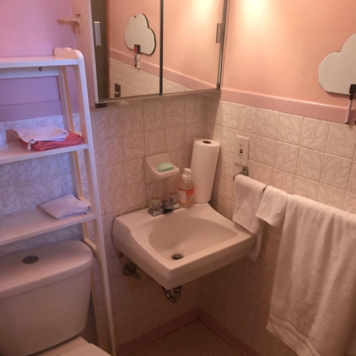 A small pink bathroom with a toilet, a wall-mounted sink, and shelves containing towels and toiletries.