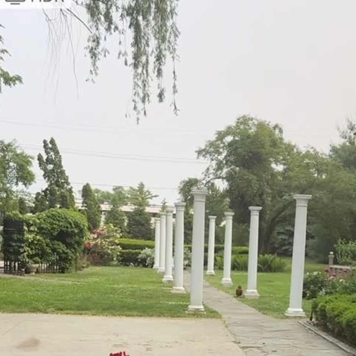 A walkway lined with white columns leading into a landscaped area with greenery and flowers.