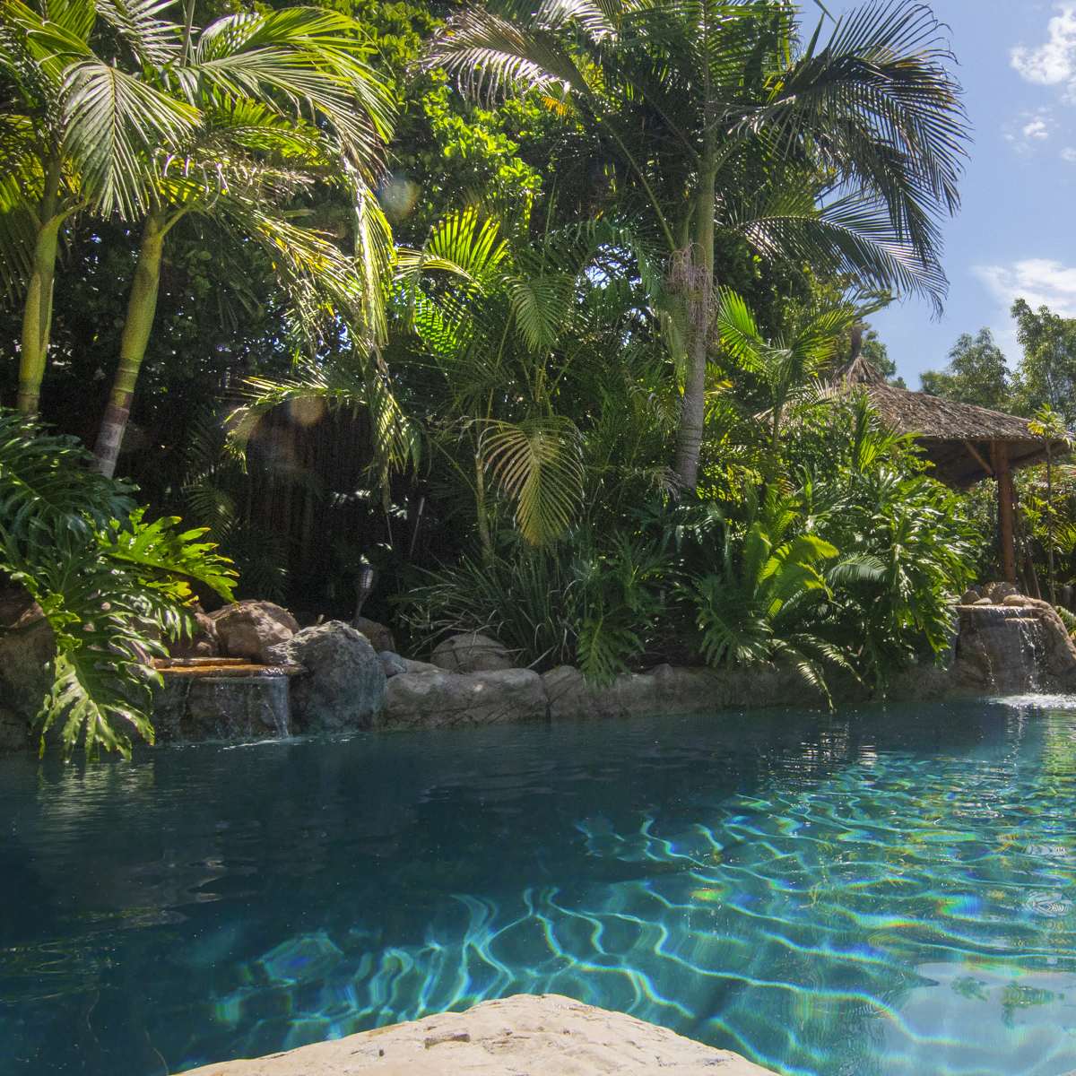A tranquil swimming pool is surrounded by lush greenery and tropical plants, with a small waterfall cascading into the water.