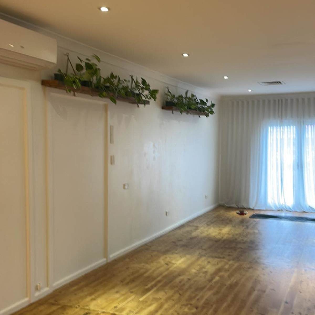 A spacious room with wooden flooring, bright lighting, and plants arranged on shelves along the wall.