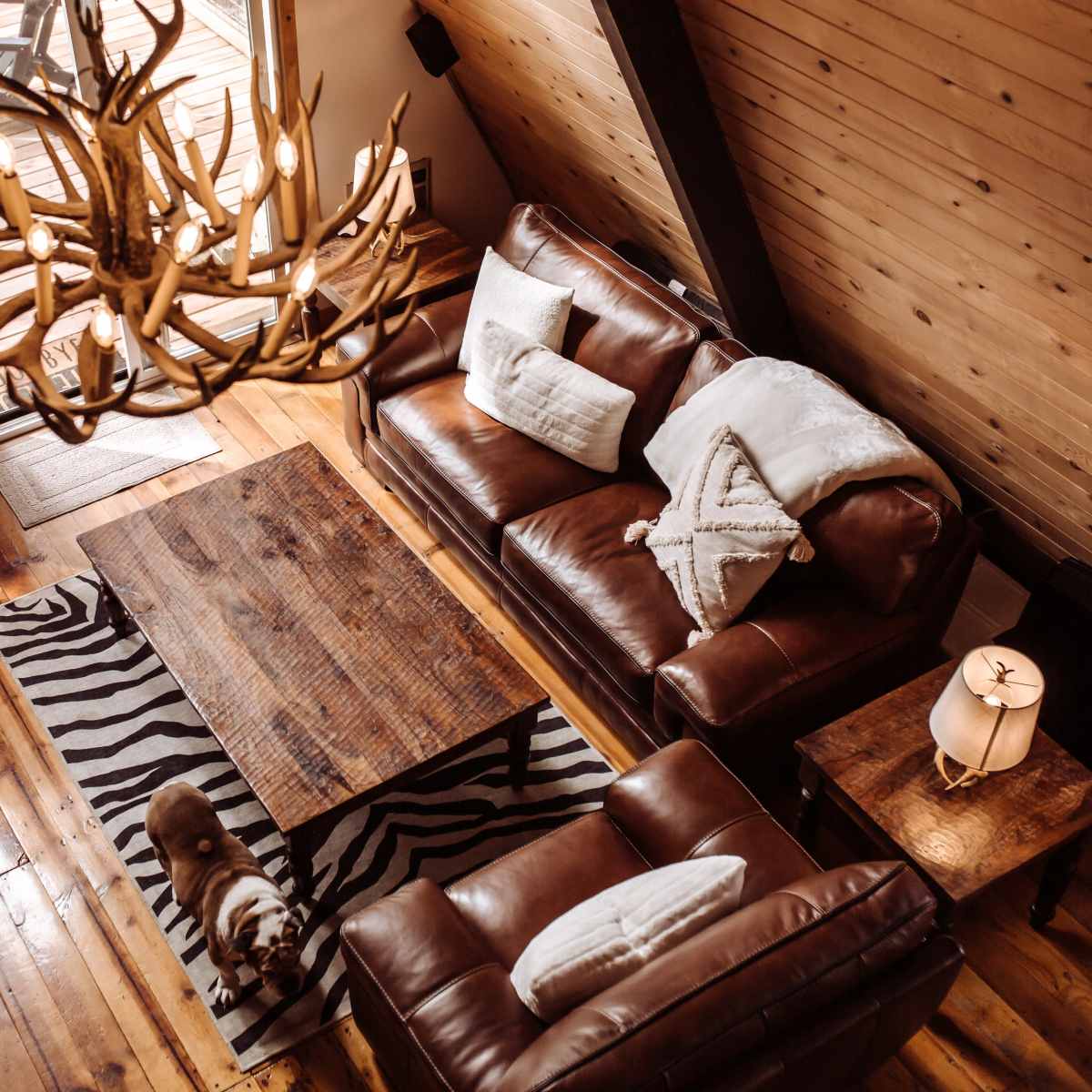 A cozy living room with leather sofas, a wooden coffee table, a large antler chandelier, and a dog on a zebra-patterned rug.