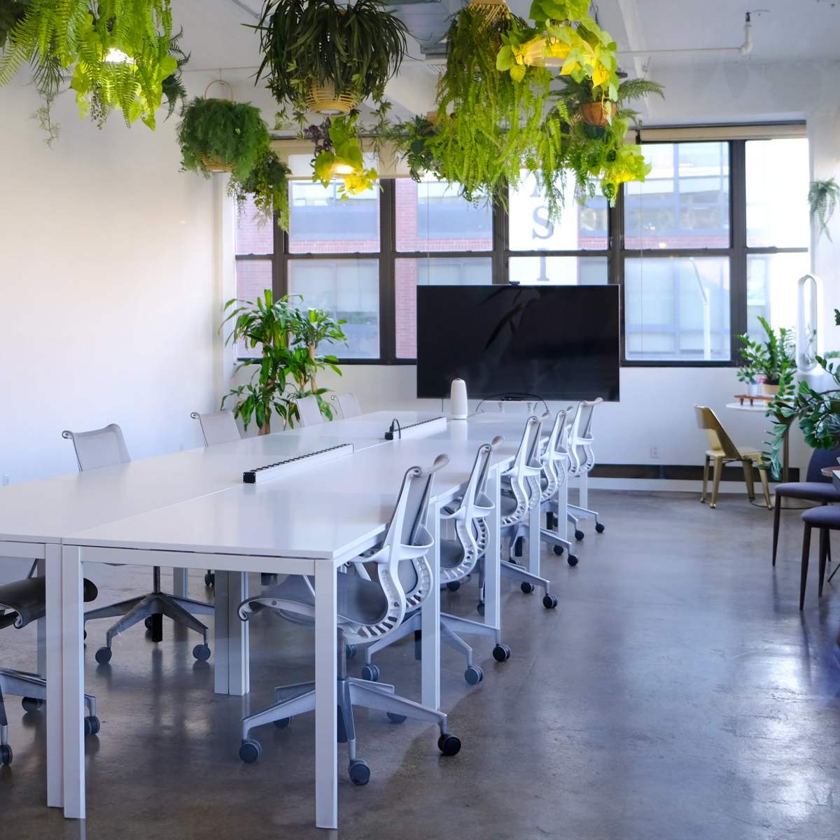 A modern conference room featuring a long white table, ergonomic chairs, and hanging plants, with large windows providing natural light.