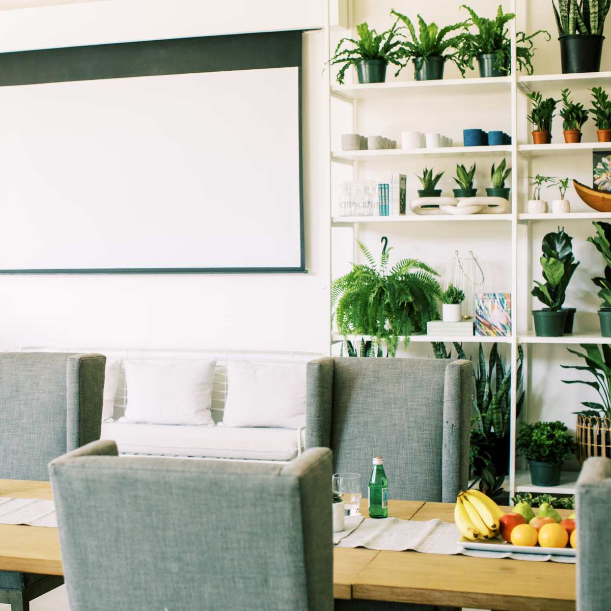 A meeting room features a large blank screen at the front, surrounded by shelves of potted plants, with a central wooden table set with drinks and fruit.