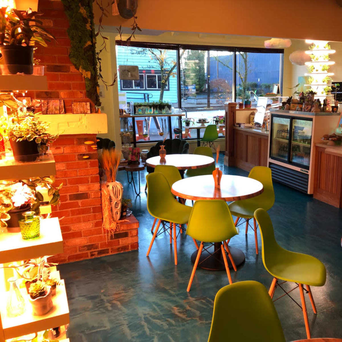 A brightly lit café with green chairs and round tables, featuring a counter with a glass display case and various plants decorating the interior.