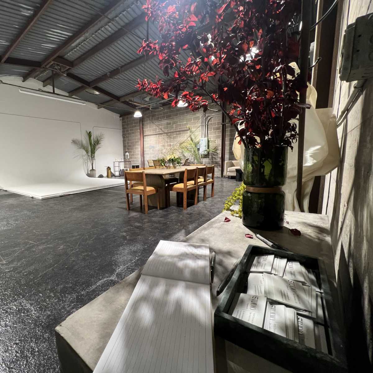 An empty studio space with a black floor, a large white backdrop, a dining table surrounded by chairs, and several decorative plants.