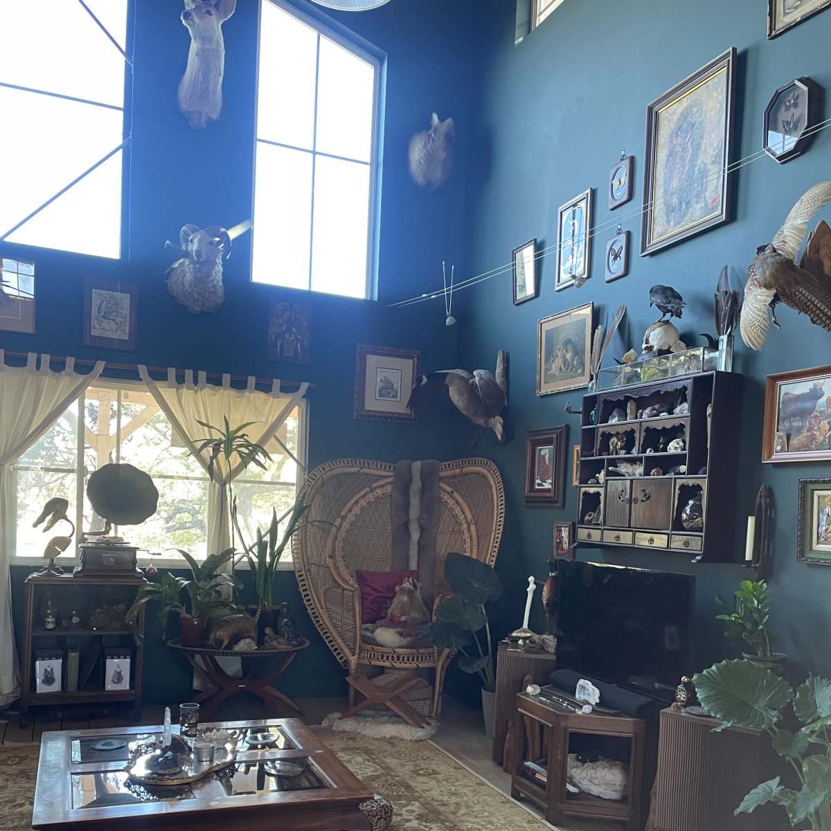 The room features a large, dark green wall adorned with various framed artworks and mounted animal heads, along with a woven chair, plants, and a coffee table in front of a television unit.