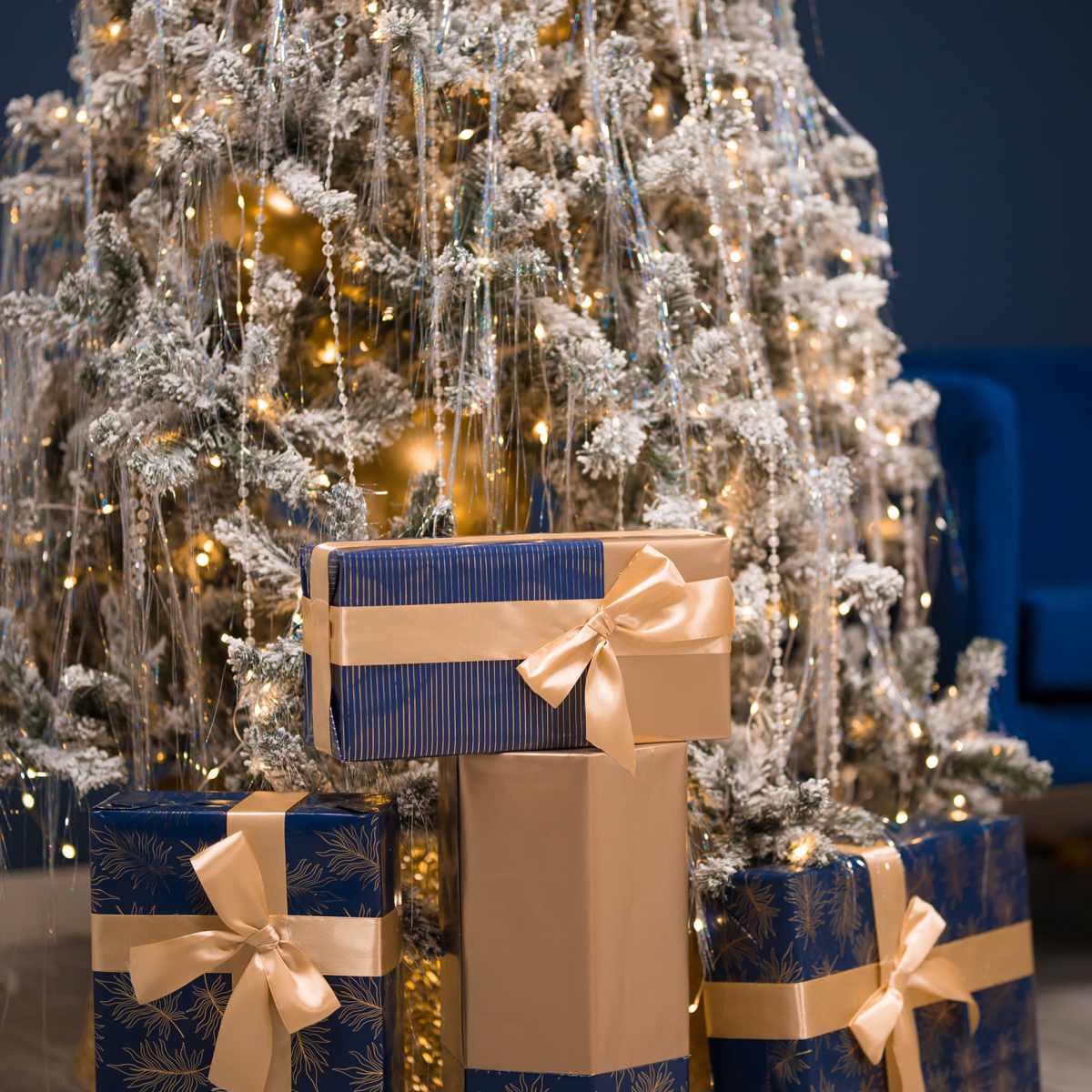 Christmas Elegant Royal Blue  Photo Studio with Luxe Golden Decor in Vancouver Image in East Vancouver, Vancouver, BC