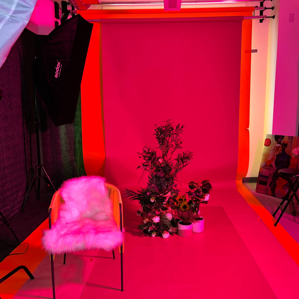 A photography studio with a pink backdrop, a chair with a faux fur cover, potted plants, and various lighting equipment.