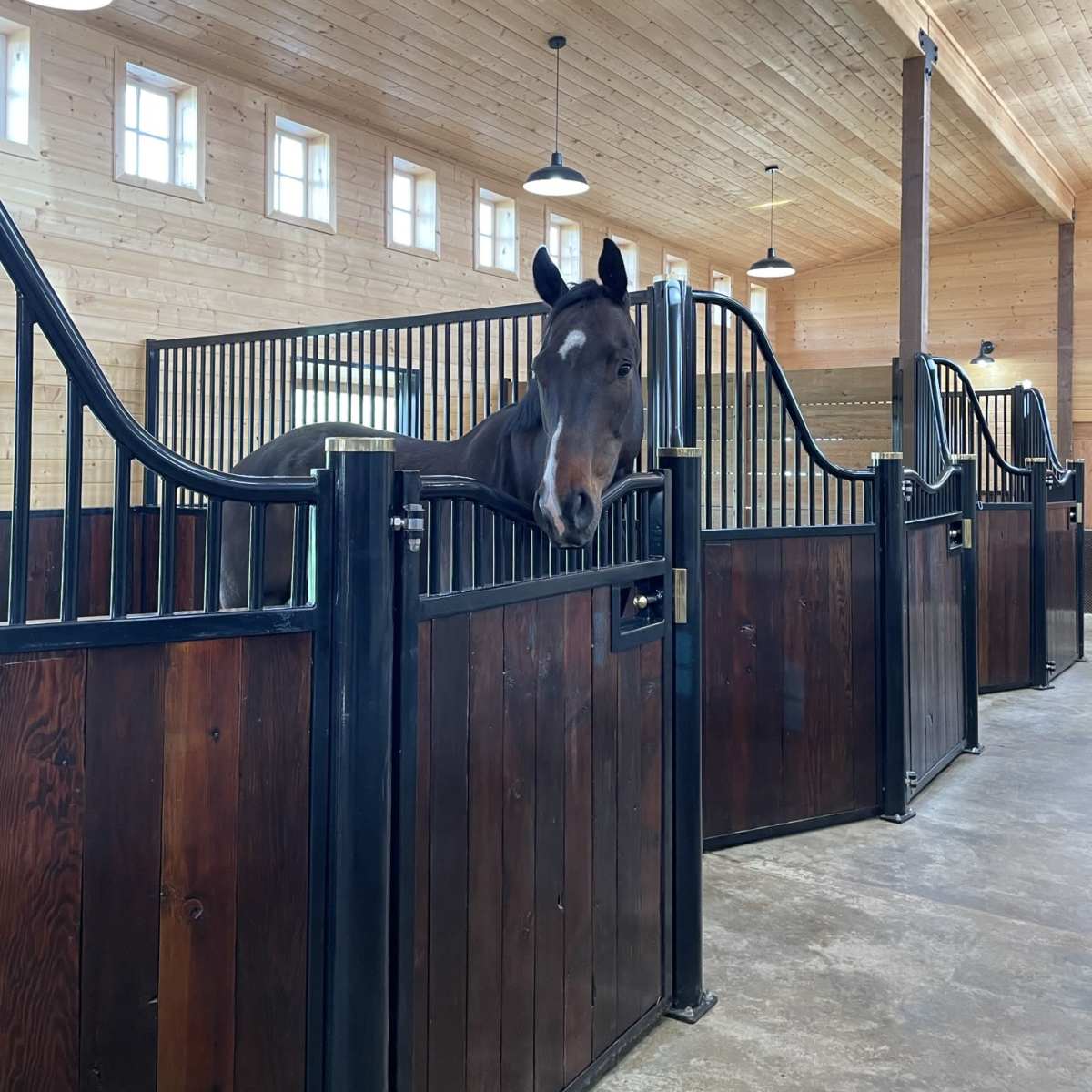 A brown horse leans over the open door of a wooden stall inside a barn with a high wooden ceiling and overhead lights.