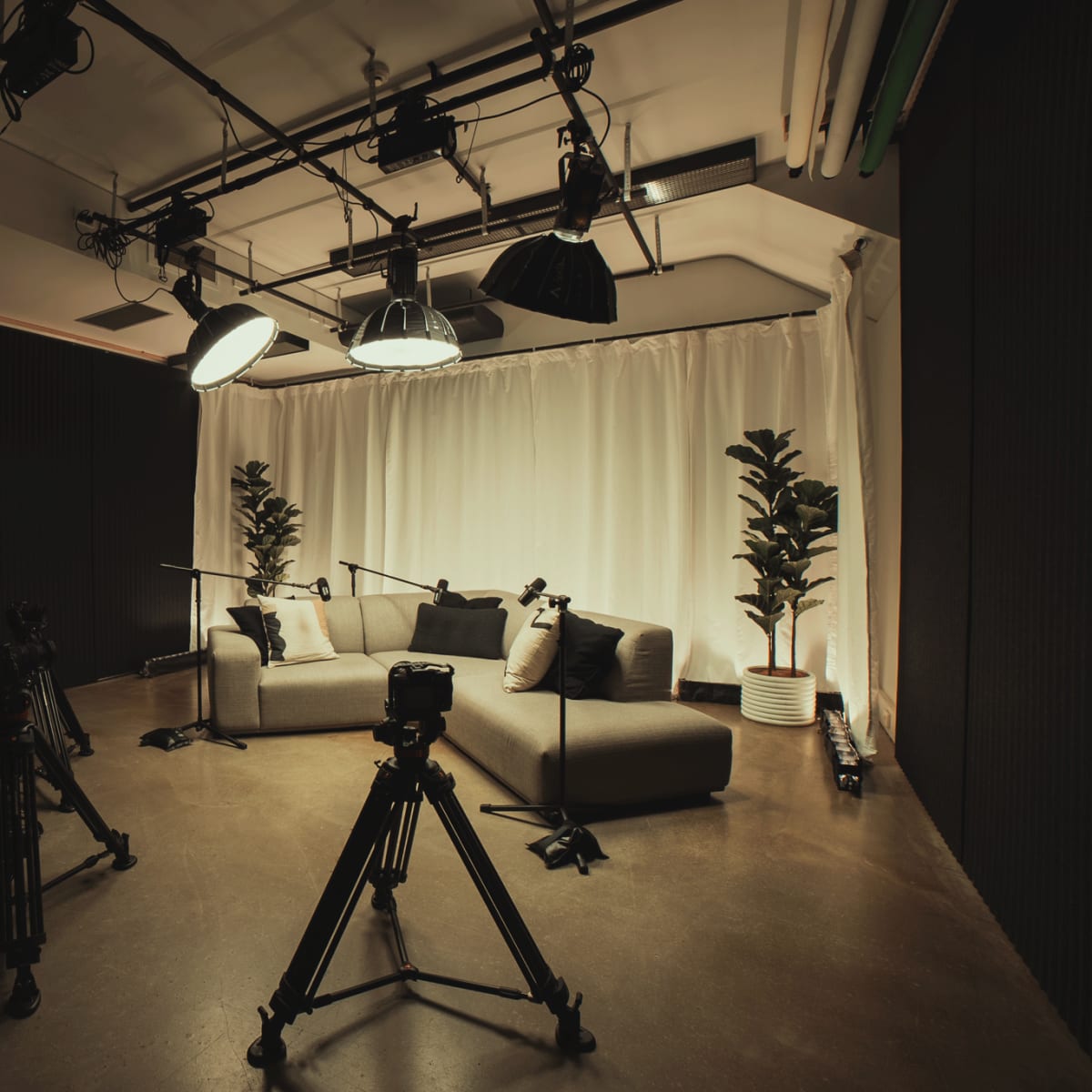 A television studio is set up with a couch, two potted plants, and multiple cameras positioned on tripods, all under bright studio lights.
