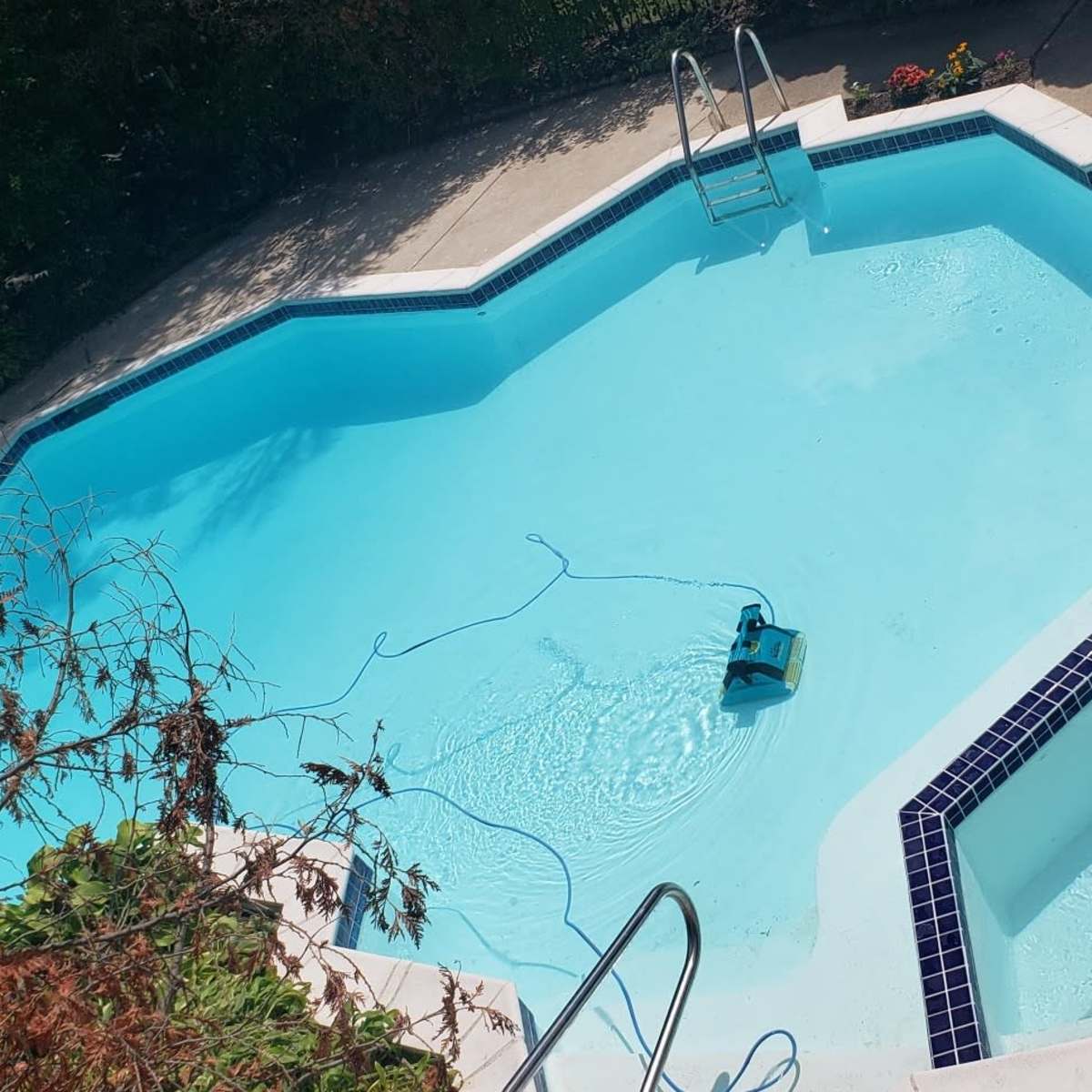 An octagonal swimming pool with a robotic cleaner in the water, surrounded by a concrete deck and landscaping.