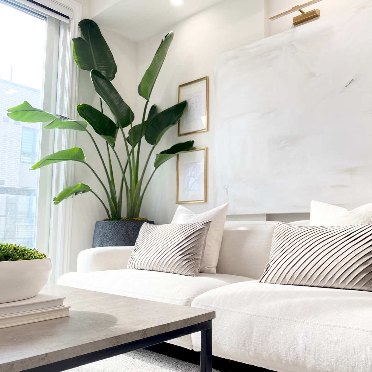 A modern living room features a light-colored sofa with decorative pillows, a coffee table, and large plants next to an abstract painting and framed artworks on the walls.