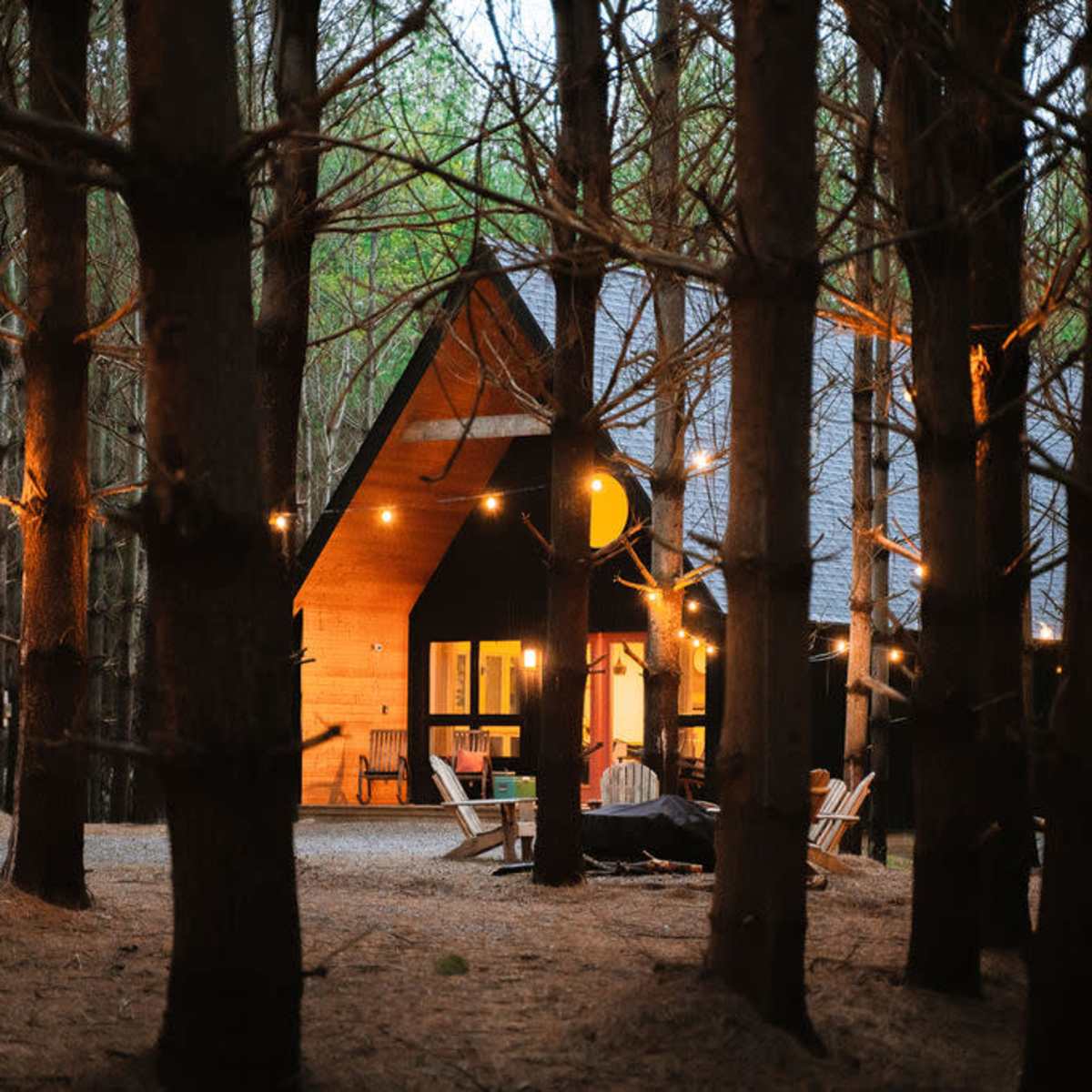 A wooden cabin with a sloped roof sits among tall trees, illuminated by warm lights strung outside.