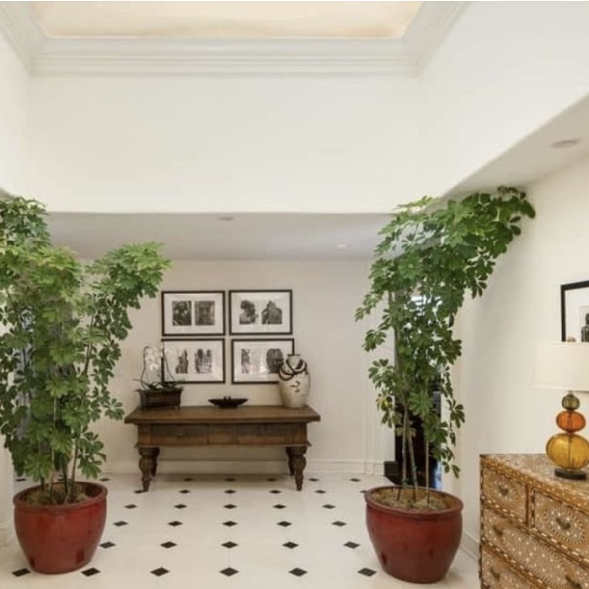 A bright hallway with two large potted plants, framed black-and-white photographs on the walls, a wooden table, and a decorative lamp on a side table.