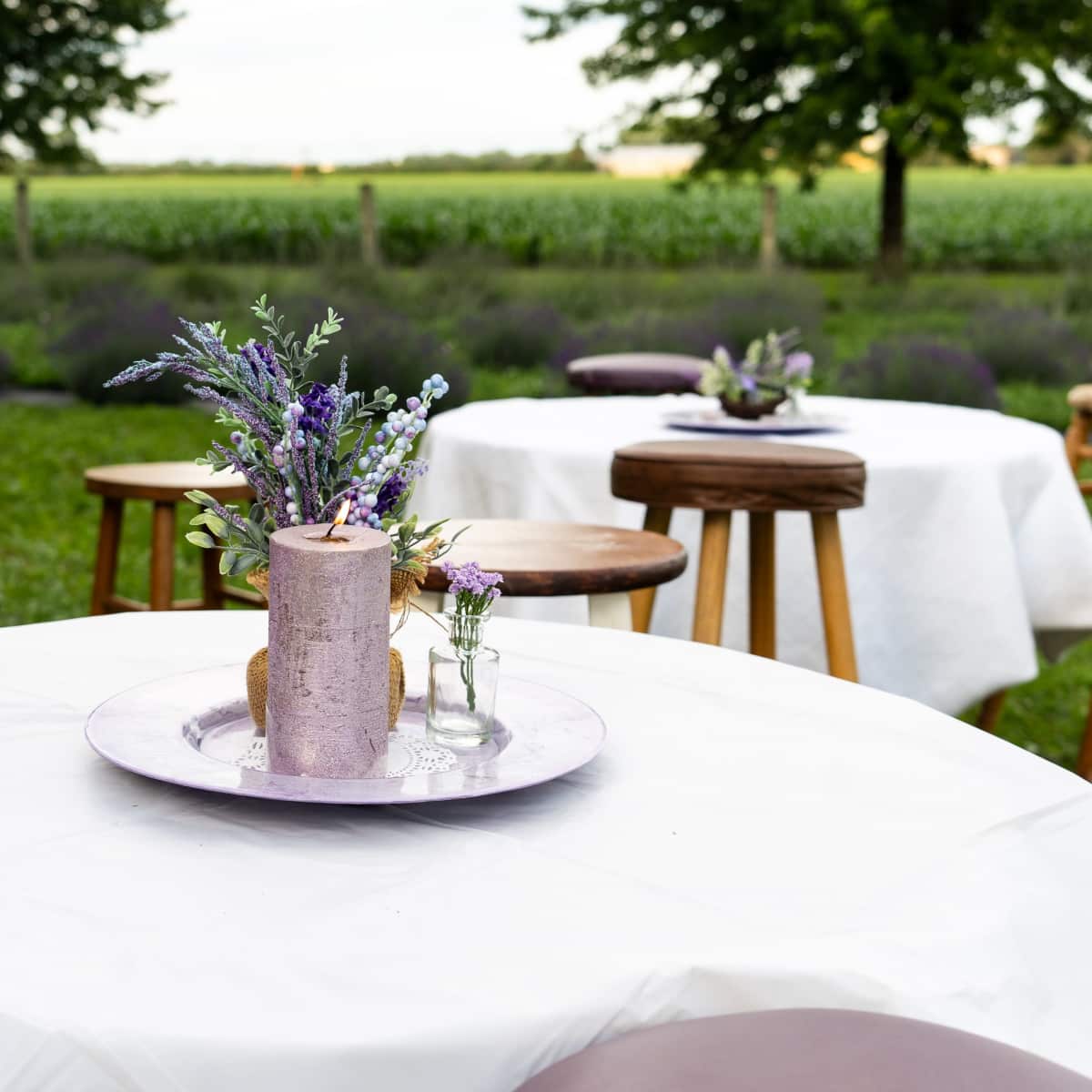 Historic Lavender Farm in Farmington Image in Eureka Township, Farmington, MN