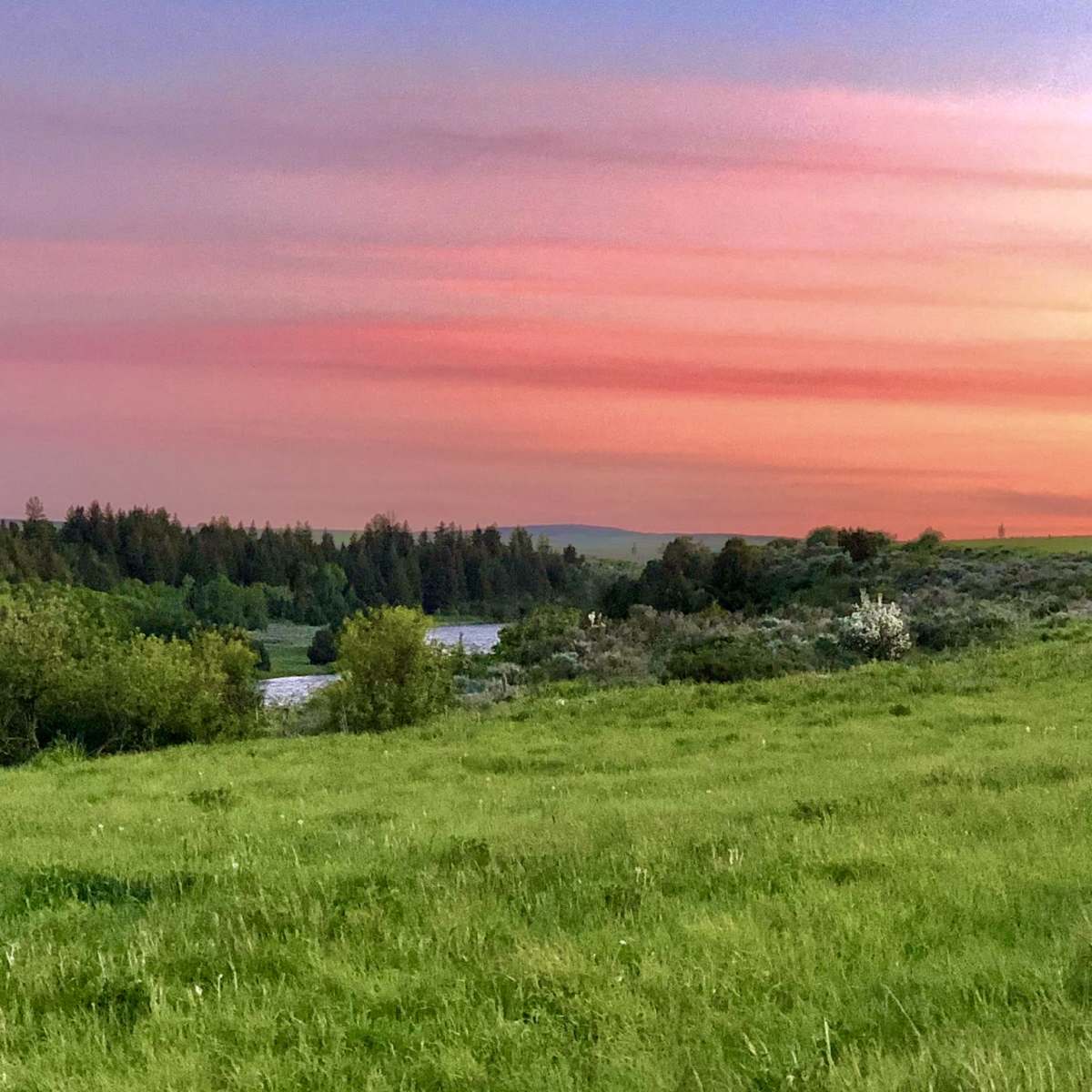 A serene landscape features a lush green field leading to a winding river under a colorful sunset sky.