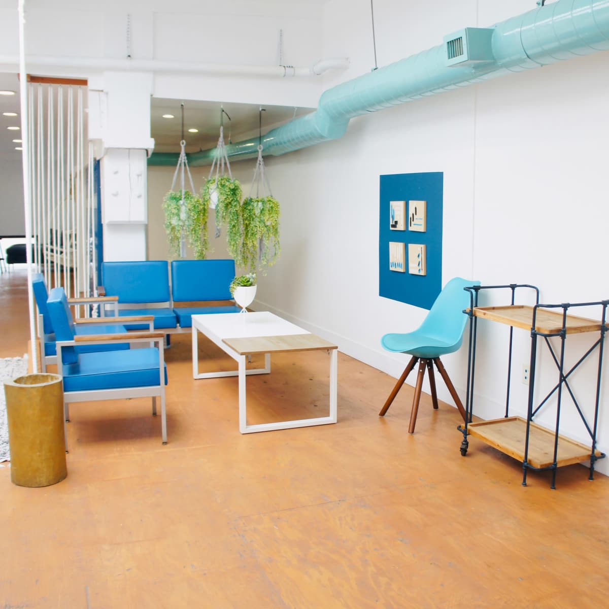 A modern interior space featuring blue chairs, a wooden coffee table, and various plants against a bright wall.