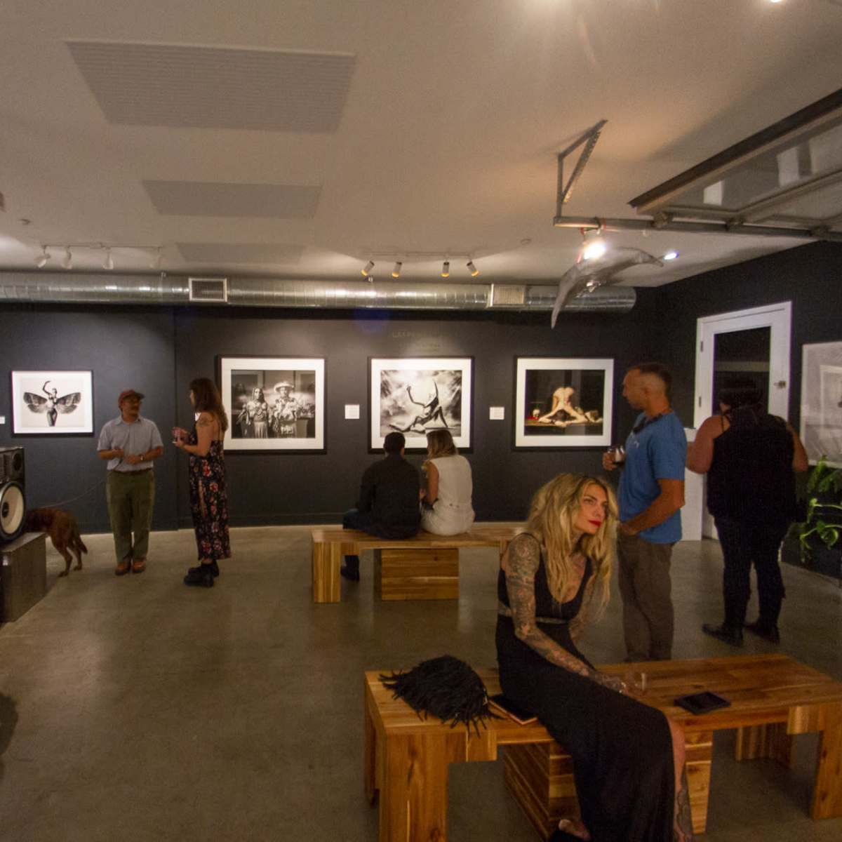 Edgy Carlsbad Art Gallery for Events & Creative Shoots in Carlsbad Image in Carlsbad, Carlsbad, CA