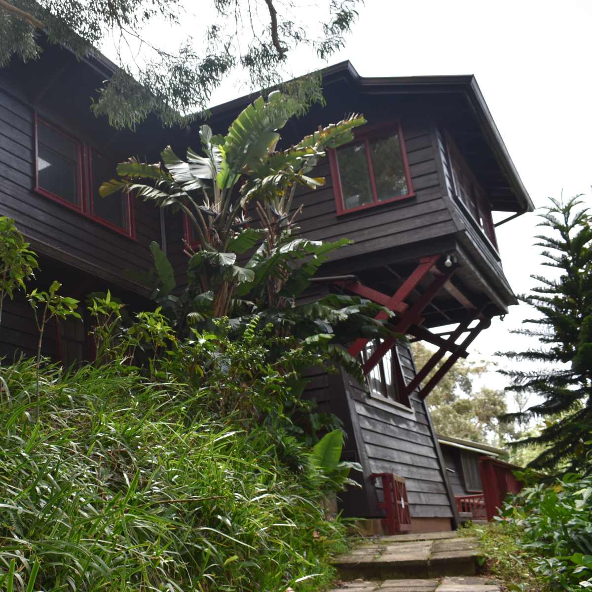 A three-story wooden house with red trim is surrounded by lush greenery and tropical plants.