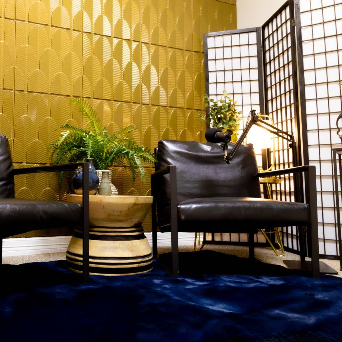 Podcast Studio with Audio and Lighting, Beaumont, TX Production