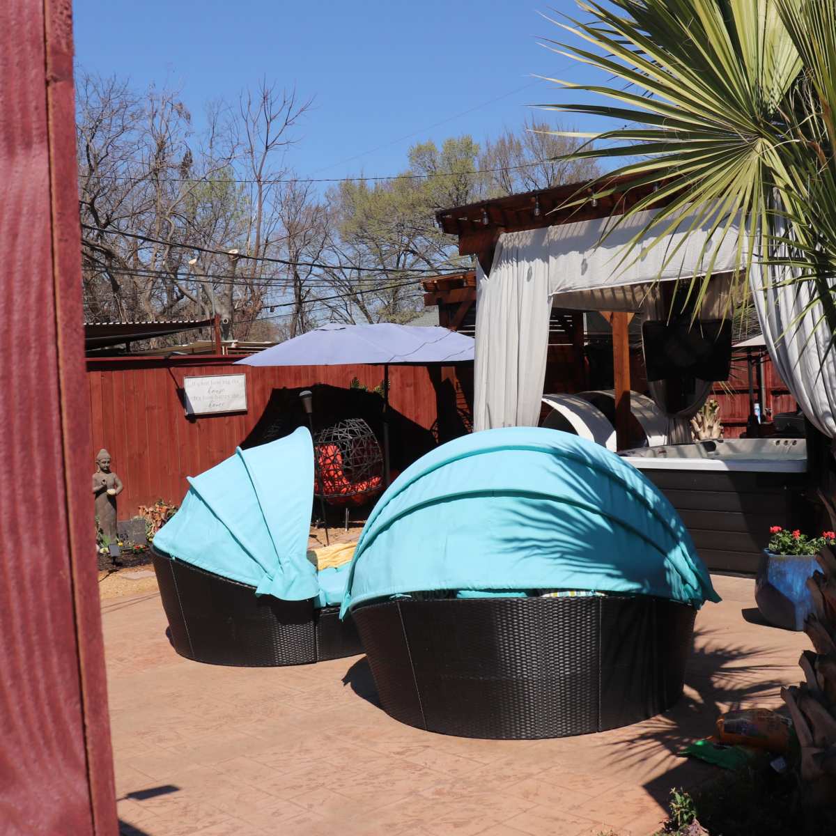 A backyard area with two covered lounge chairs, a palm tree, and a shaded outdoor structure.