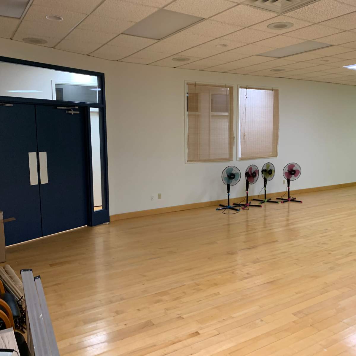 An empty room with wooden flooring, two doors on the left, a window with blinds, and four standing fans lined up against the wall.