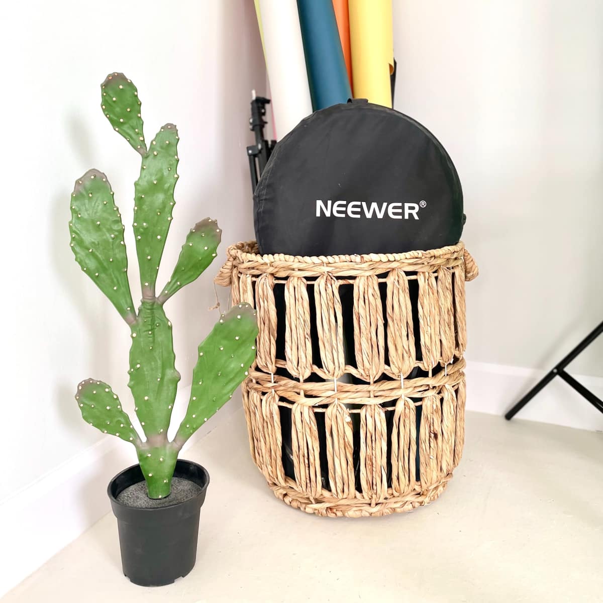 A woven basket holds colorful backdrop rolls and is placed next to a potted cactus.