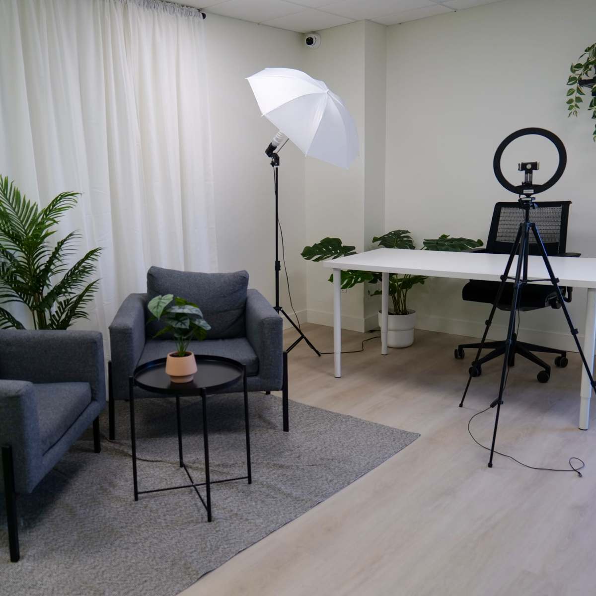 A well-lit, minimally furnished studio space with two gray chairs, a small table with a plant, a photography light setup, and a desk with a ring light.