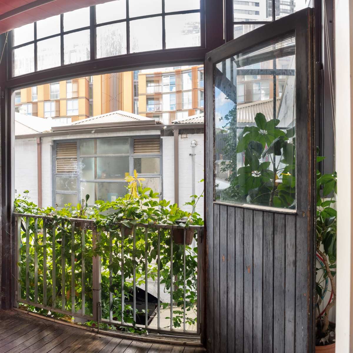 An open-segmented window with wooden frames overlooking a balcony filled with greenery and a view of nearby buildings.