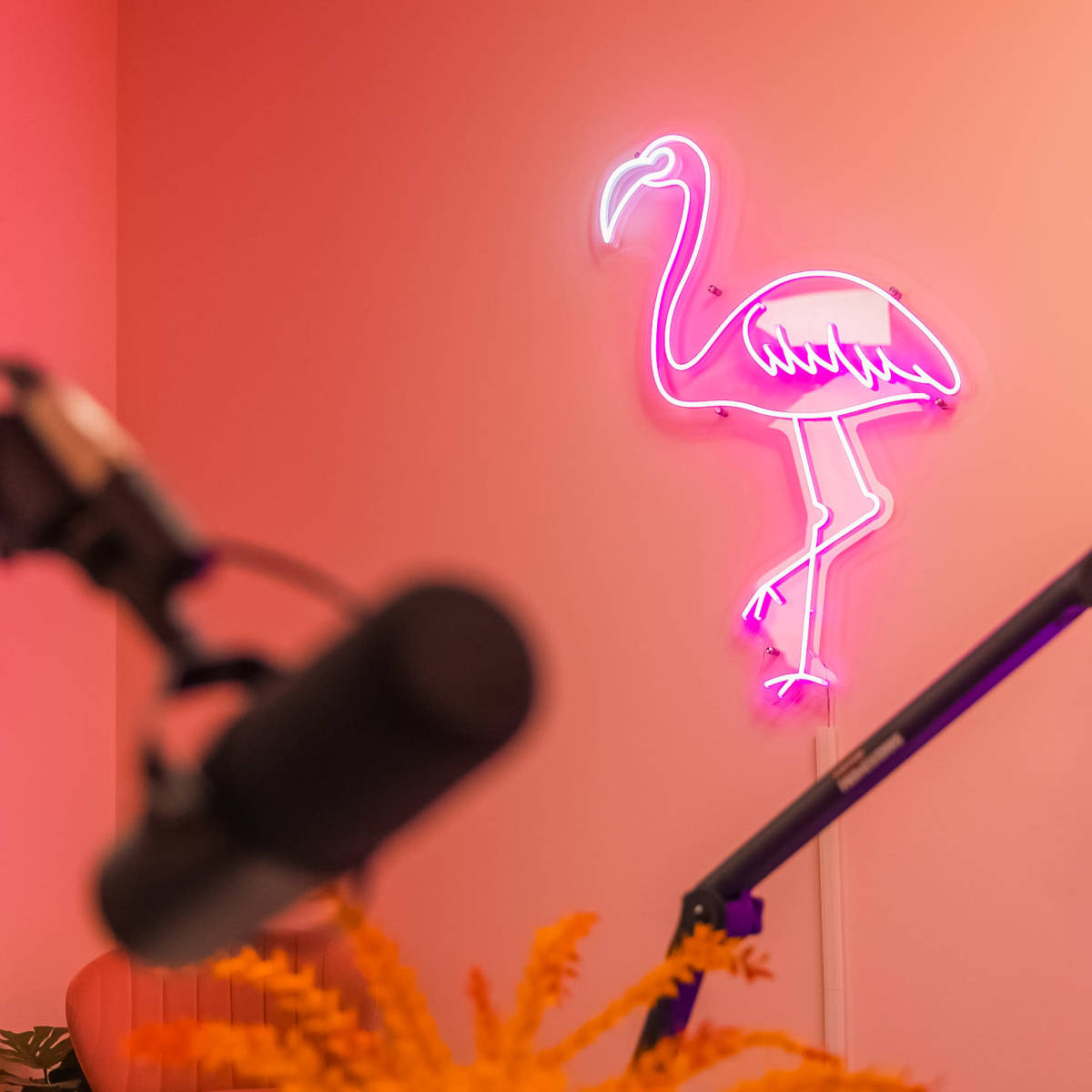 A pink neon flamingo light is mounted on a wall, with microphone stands blurred in the foreground.