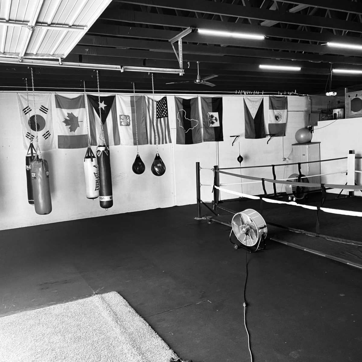 A boxing gym with several hanging heavy bags and flags from different countries displayed on the wall.