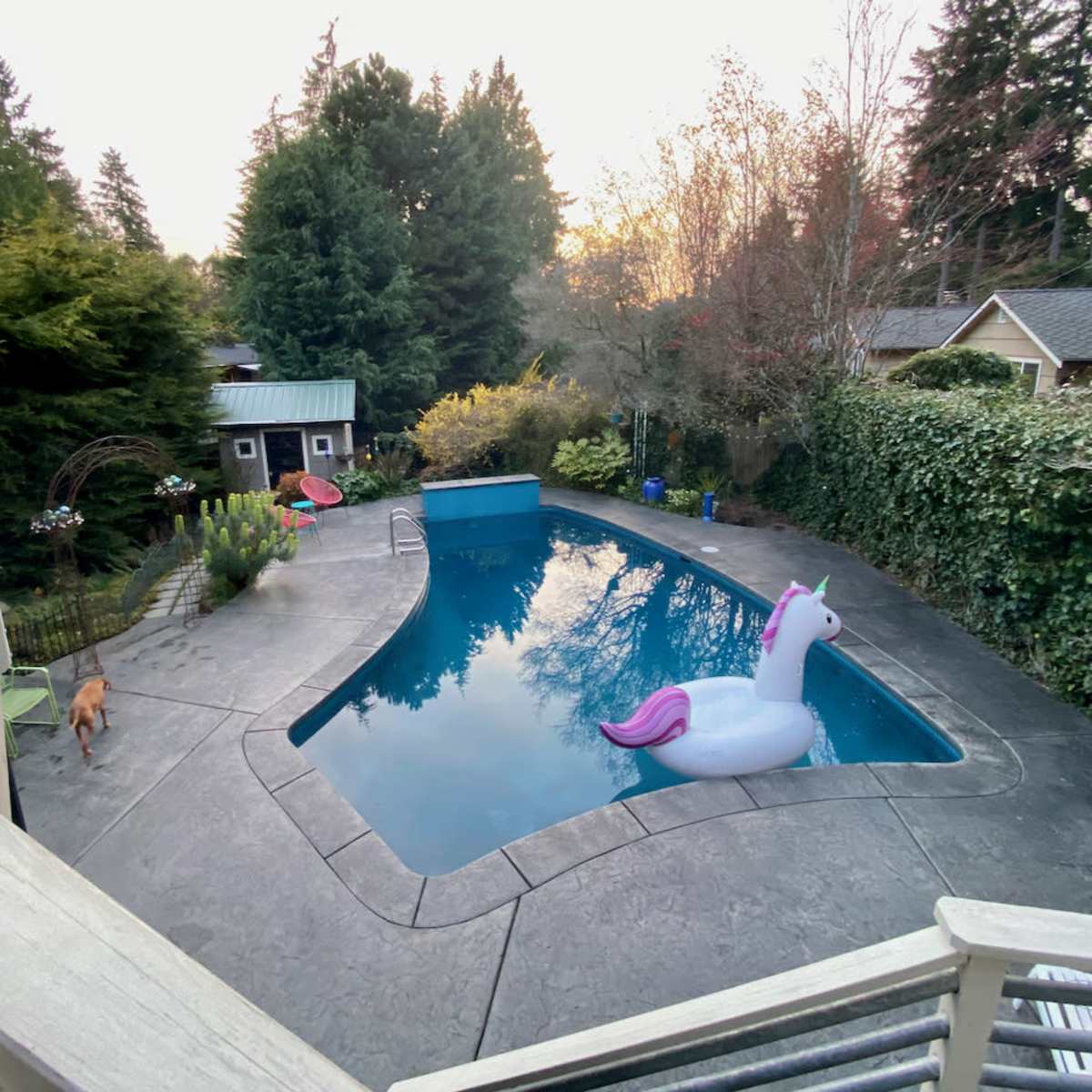 Stylish Midcentury Home with Swimming Pool, Seattle, WA | Production ...