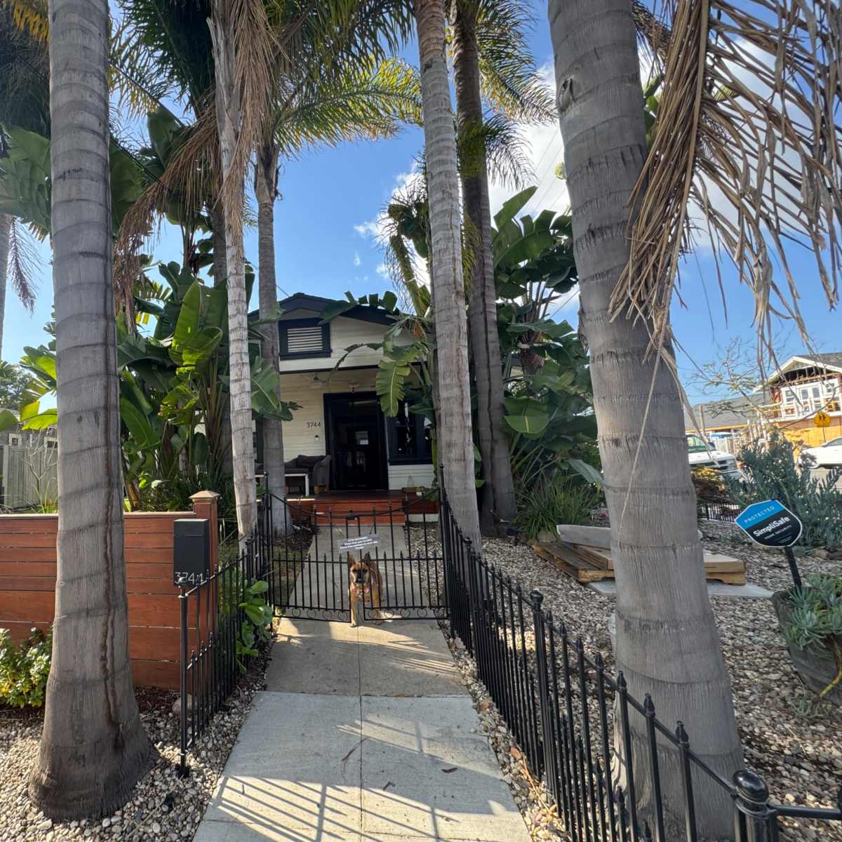 Authentic (but Updated) 1920s Craftsman with Gorgeous Palm Trees and Front Porch in San Diego Image in North Park, San Diego, CA