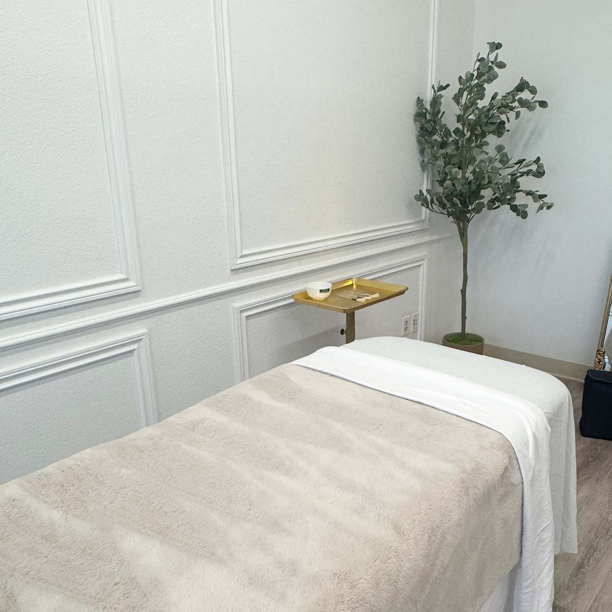 Luxury Facial Studio with Professional Photoshoot Space in Solana Beach Image in Solana Beach, Solana Beach, CA