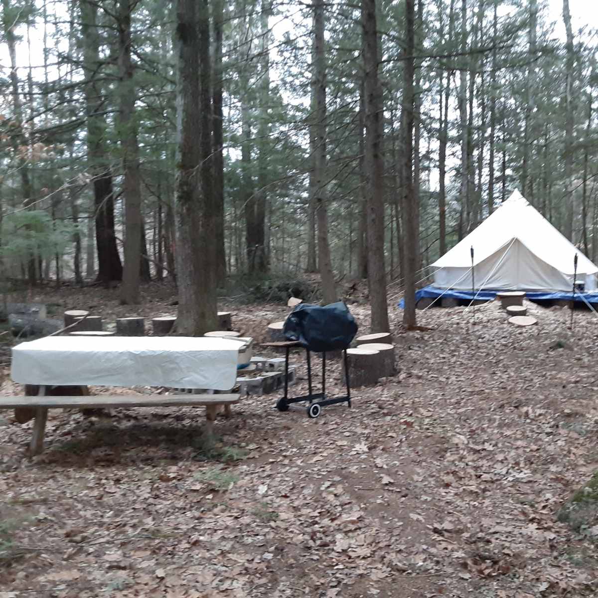 A tent is set up in a forest clearing surrounded by trees, with a picnic table and a grill nearby.