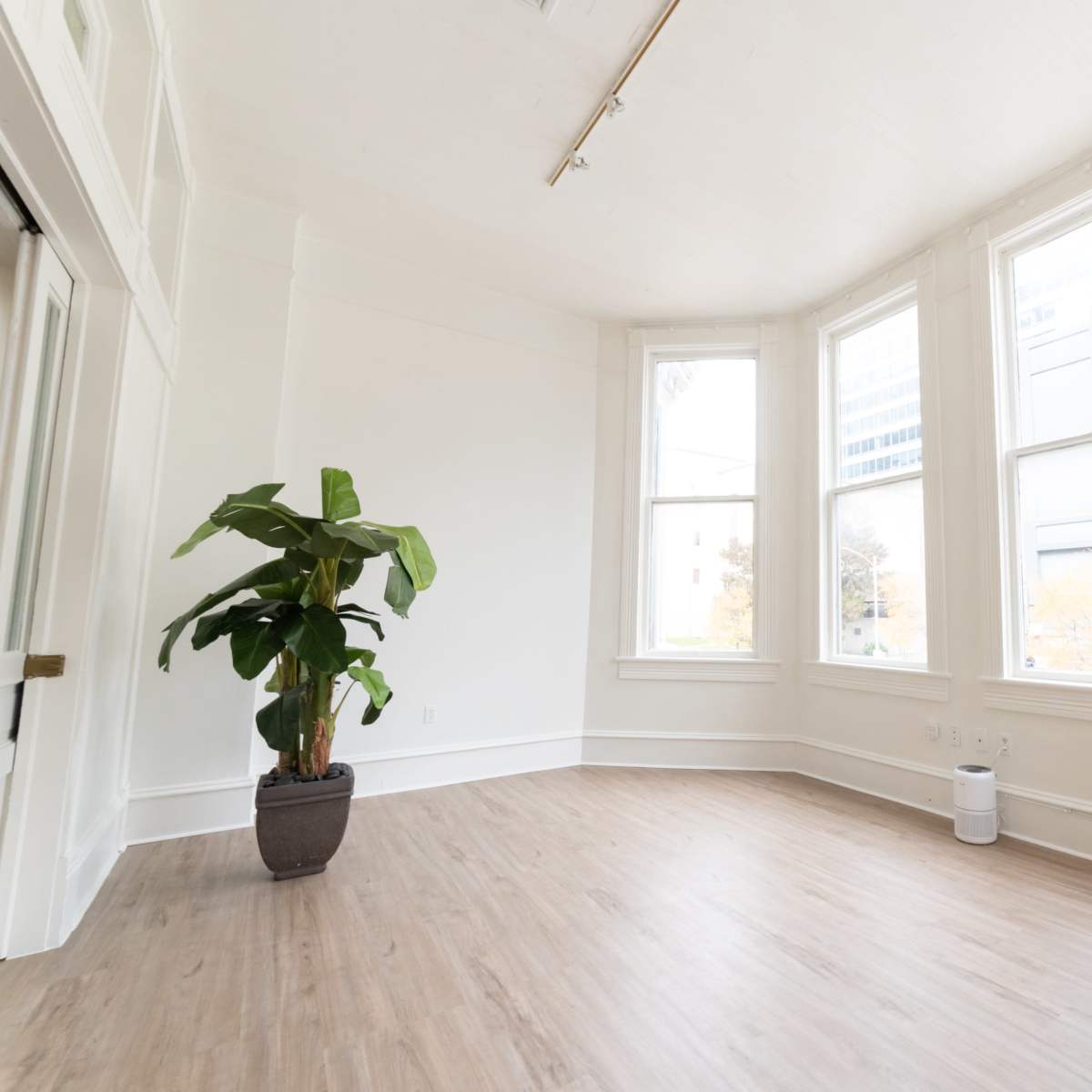 A bright, empty room features large windows, a potted plant in the corner, and a standing desk with a microphone setup.