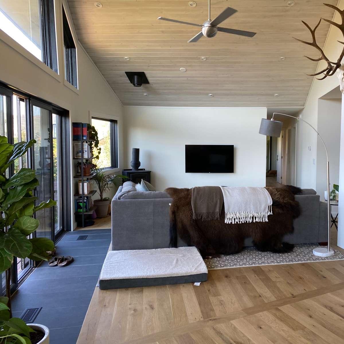 A modern living room with a gray sofa, a large flat-screen TV mounted on the wall, and decorative elements like a plant and a floor lamp.