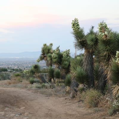 Perfect Desert Landscape, Phelan, CA  Production  Peerspace