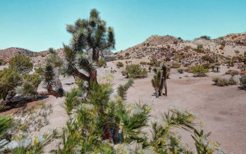Dune Ranch Boulder Ridge, Yucca Valley, CA Event Peerspace
