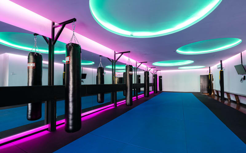 Martial Art/Gym Studio With Mats, Astoria, NY Production Peerspace