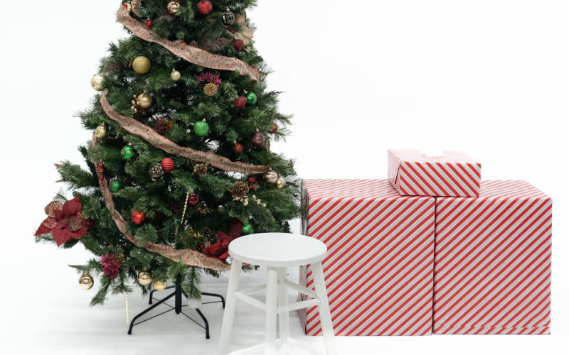 SnapHouse Productions Photography x Videography Studio, Greensboro