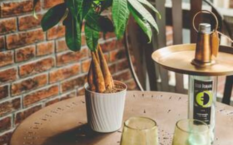 Downtown Apartment in Historic Huntingburg, Huntingburg, IN Event