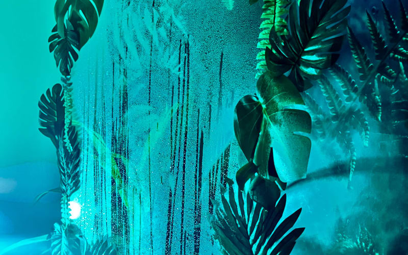 Jungle Themed Shower Illusion, Decatur, GA Production Peerspace