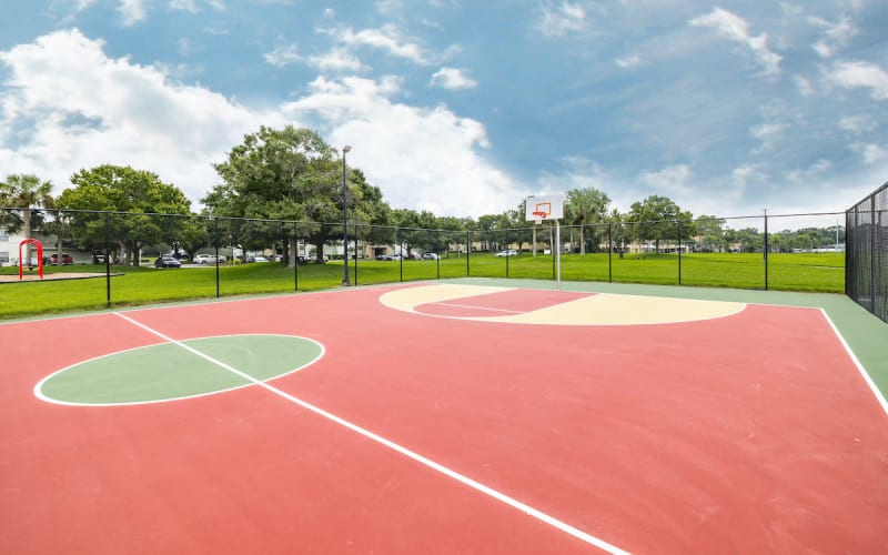 Pristine Basketball Court near Clearwater, Dunedin, FL Production